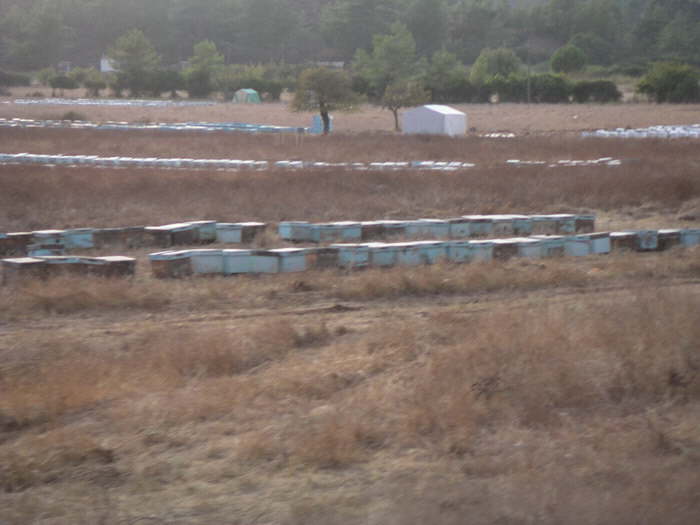 Honig - die Spezialit�t der Gegend