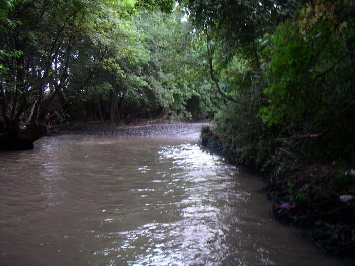 Unterbodenw�sche mit dem Jeep